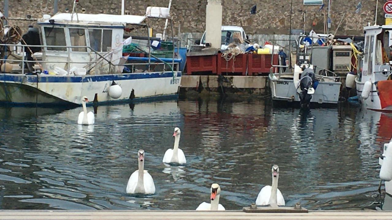 Sejour De Reve Avec Parking Inclus Antibes